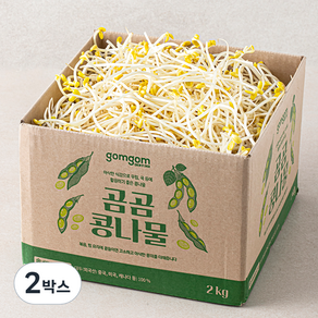 곰곰 콩나물