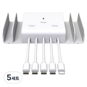 로이직 5포트 고속 멀티충전기 C타입 4p + 8핀 1p