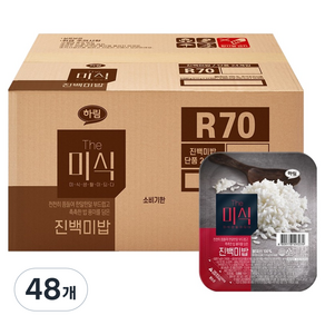 더미식 진백미밥