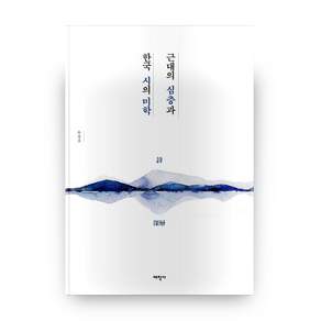 근대의 심층과 한국 시의 미학