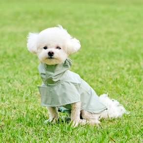 울리 강아지 망토 레인코트