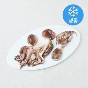 일품 손질 국산 주꾸미 (냉동)