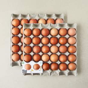 무항생제 인증 신선 대란 3.12kg