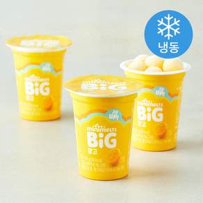 미니멜츠 빅 망고 아이스크림 (냉동)