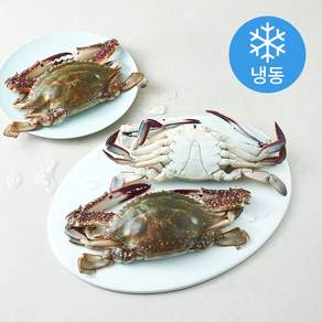 일품 살이 꽉찬 서해안 숫꽃게 대 3~4미 (냉동)