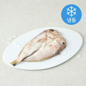 중앙씨푸드 국내산 남해안 바다 옥돔 (냉동)