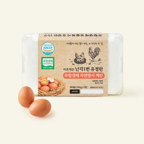 무항생제 인증 바른계란 난각1번 유정란 자연방사 계란 대란