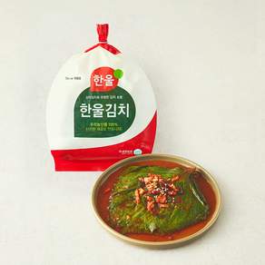 한울 깻잎 김치