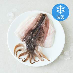 피시원 국내산 손질 수산물이력추적 갑오징어 (냉동)
