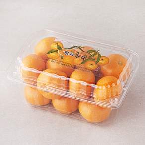 탐라황감 당도선별 10brix 감귤, 800g(로열과), 1개
