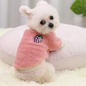 아티펫 반려동물 과일 포인트 컬러풀 후리스