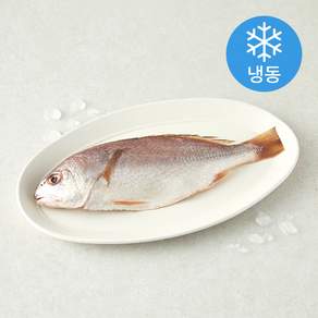 중앙씨푸드 국내산 남해안 바다 백조기 (냉동)