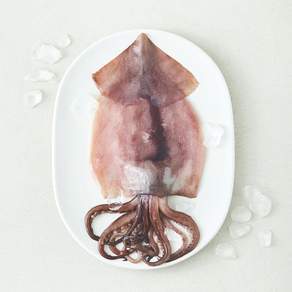 바다공방 96프로 주방 해방 오징어 (냉장)
