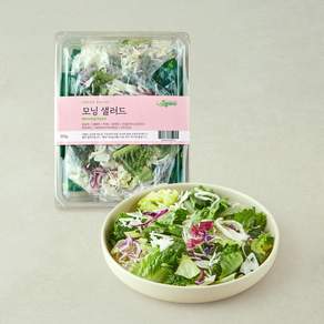 나물투데이 모닝샐러드