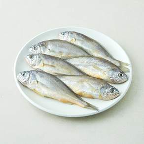 the 푸짐한 제주 참조기 6미 (냉장)