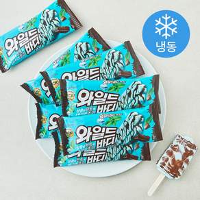 롯데웰푸드 와일드바디 민트초코 (냉동)