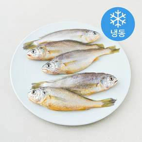 중매인신훈식 맑은소금 제주 참조기 (냉동)