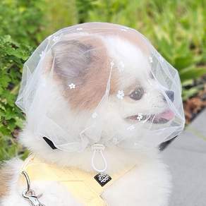 멍템 강아지 플라워 페이스커버