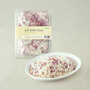 나물투데이 눈꽃 양배추 Purple