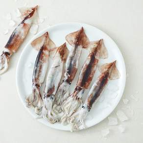 이프로마켓 동해안 생물 오징어 원물중량 1kg 5~10미 (냉장)