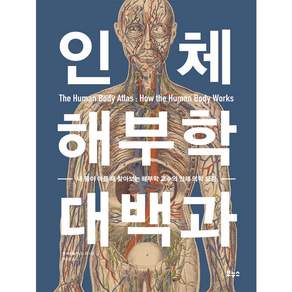 인체 해부학 대백과