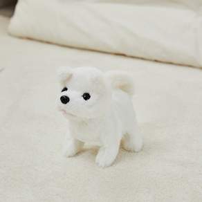 모던하우스