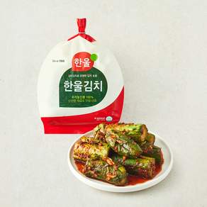 한울 오이소박이