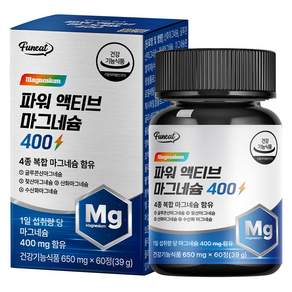 퍼니트 파워 액티브 마그네슘 400 39g