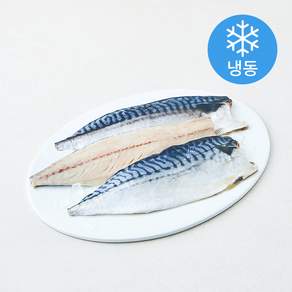 바다찬찬 노르웨이 통통 고등어살 (냉동)