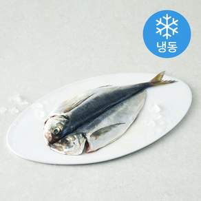 중앙씨푸드 국내산 남해안 바다 전갱이 (냉동)