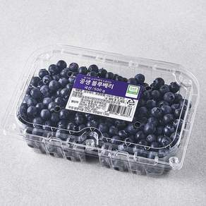 GAP 인증 공생 블루베리, 500g, 1개