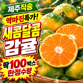 [첫물100박스] 한정특가 새콤달콤 제주직송 감귤
