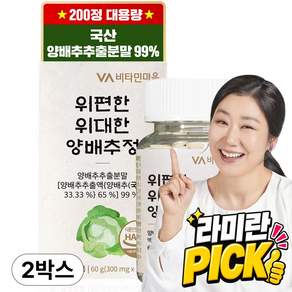 비타민마을 위편한 위대한 양배추정