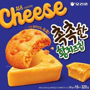 오리온 촉촉한황치즈칩 16p
