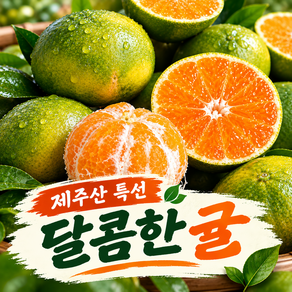 [품절대란]역대급할인 VIP전용 프리미엄 한정 감귤