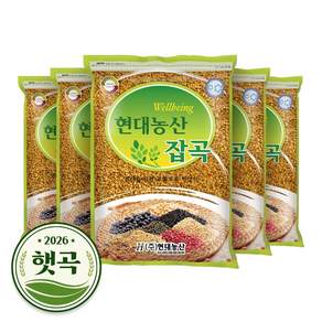 현대농산 국산 황금 발아찰보리