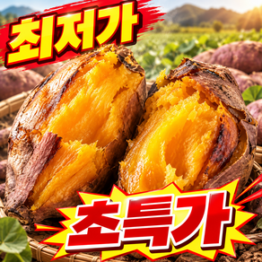 [하루100박스한정판매] 국내해남 품절대란 초고당도 호박고구마