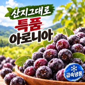 [줄기 제거] 국산 냉동 아로니아 특품