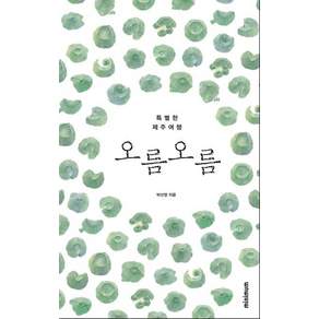 오름 오름:특별한 제주여행