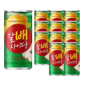 해태음료 갈배 사이다 210ml 배음료