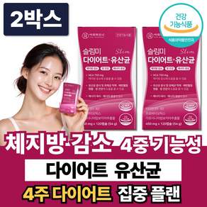 체지방 감소 다이어트 유산균 중년 내장지방 복부지방 뱃살 보조제 비피더스 탄수화물 컷팅제