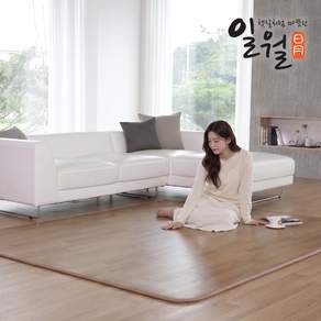 일월 그랜드 카본마루 카페트매트 분리난방 전기장판 전기매트 중형