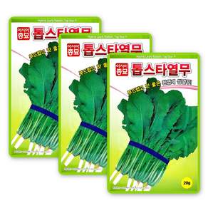 아시아종묘 톱스타 열무 씨앗 20g