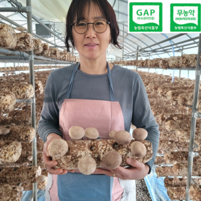 [농부직송] 25년장인 무농약 국내산 표고버섯