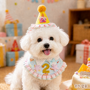 강아지 고양이 생일모자 프릴 케이프 세트 반려동물 생일파티 촬영소품