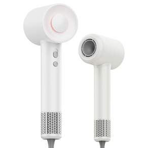 Tanit 초고속 헤어 드라이기 BLDC 음이온 1600W+자기흡입노즐