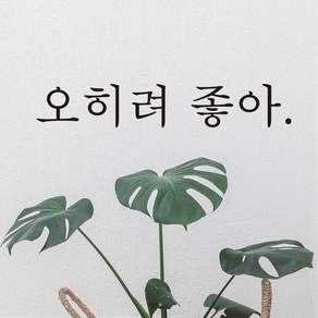 모노먼트 인테리어 포인트 밈 레터링 스티커 - 오히려 좋아