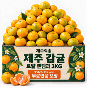 제주 감귤 고당도 귤 산지직송