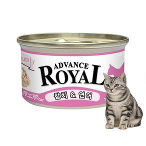 로얄 어드밴스캔 고양이간식캔