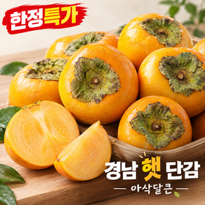 [26년첫수확] 산지직송 고당도 햇 단감
